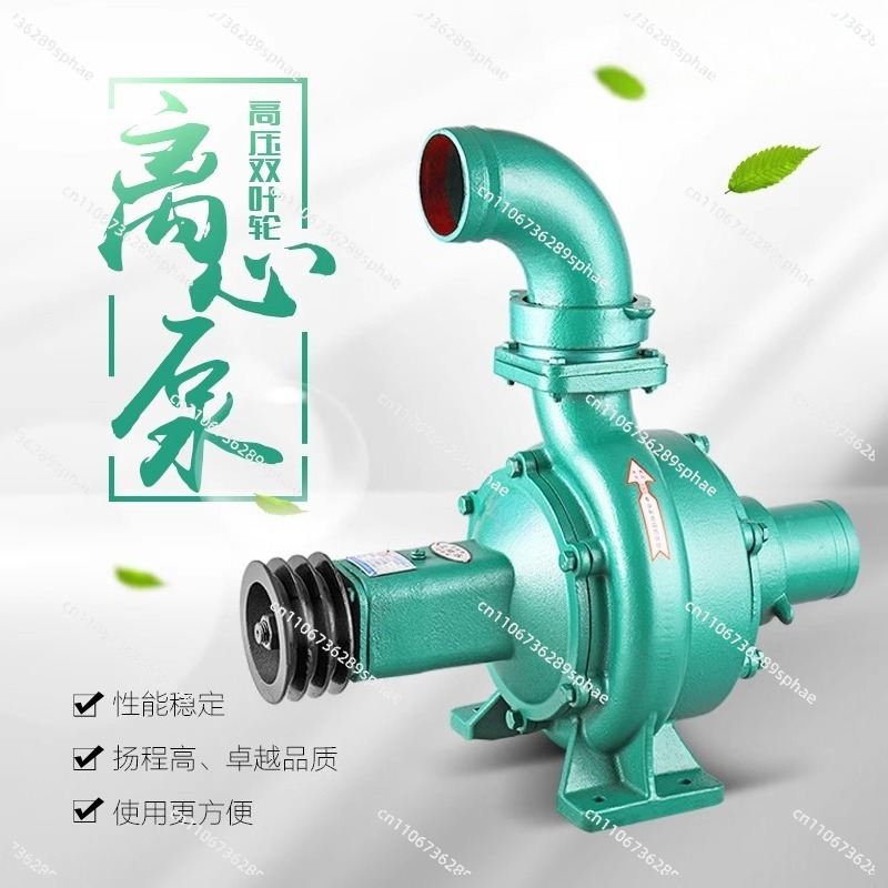 고압 고양정 대유량 이중 임펠러 원심 펌프 물 펌프 농 - Diesel Water Pump 리뷰 및 가격
